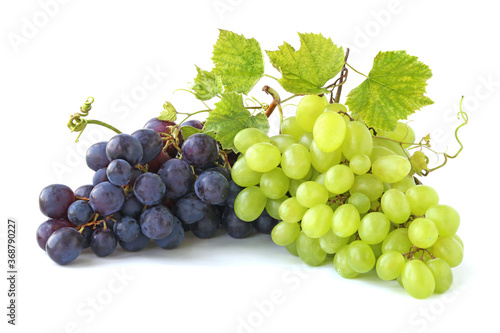 Bunches of grapes with twig isolated on white background