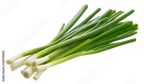 Green onion  fresh chives isolated on white background