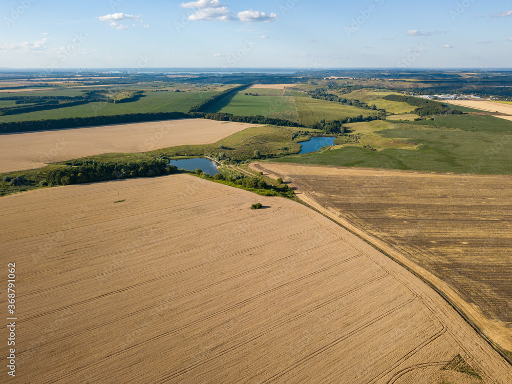 Ripe wheat field in Ukraine. Summer clear day. Aerial view. Ripe wheat field in Ukraine. Summer clear day. Aerial view.