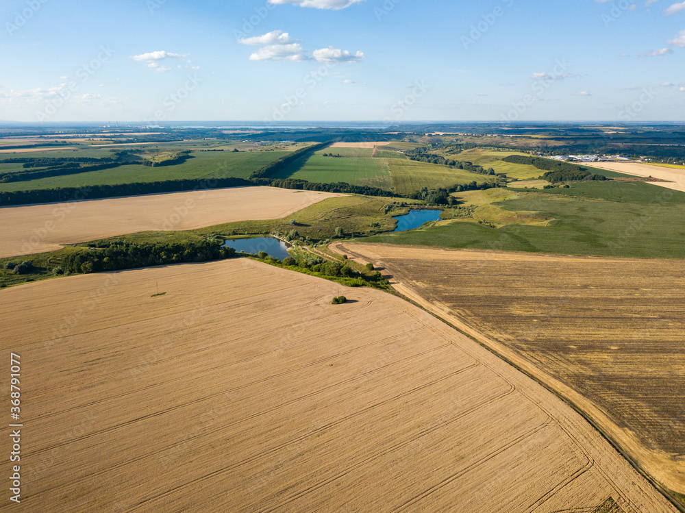 Ripe wheat field in Ukraine. Summer clear day. Aerial view.