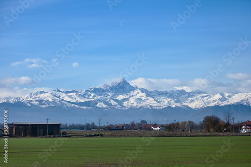 farm field in the background of the alpine mountains