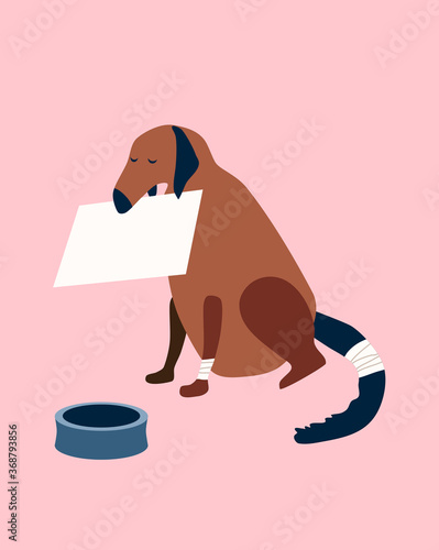 Poor homeless dog with a wounded tail and paw is begging on the street with a cardboard box in its mouth.Animal shelter, donations, fundraising for food and treatment concept.Social flat vector poster