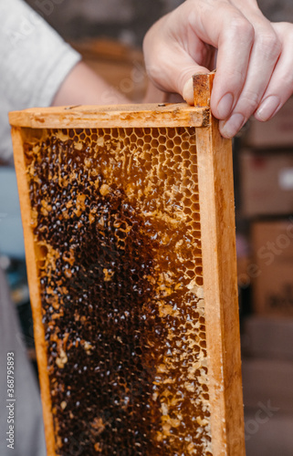 Delicious and healthy bee products. Honeycomb with honey in a wooden frame. Beehive, beekeeping. A small part of the honey summer harvest.