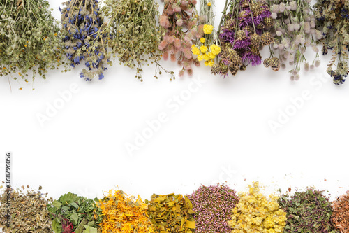 Medicinal plants bunches and piles of medicinal herbs on white background. Top view, flat lay. Alternative medicine. Copy space for text. photo