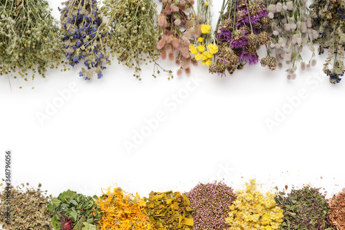 Medicinal plants bunches and piles of medicinal herbs on white background. Top view, flat lay. Alternative medicine. Copy space for text.