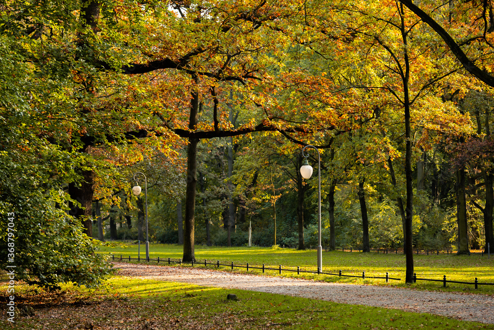 Autumn city public park