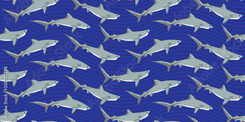 Shark Seamless Pattern 11