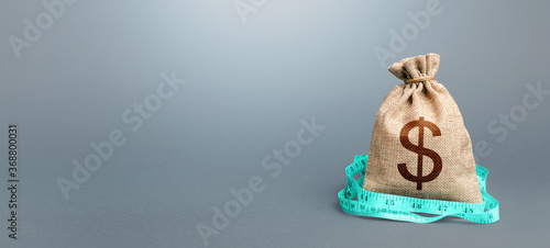 Принти на полотні Dollar money bag and measuring tape meter