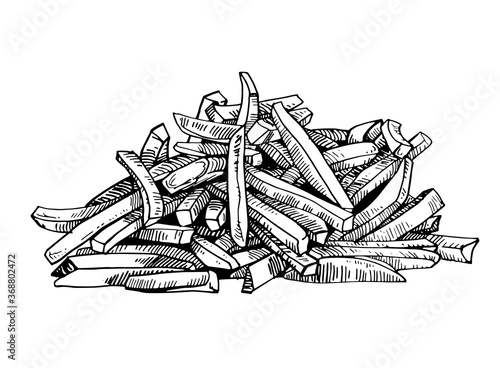 Vector french fries on white background, food illustration