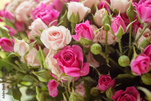 Flowers roses beautiful greeting on a holiday  anniversary  birthday