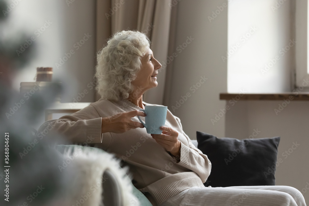 Serene untroubled 70s retired woman wear comfy casual clothes lean on soft sofa holding cup with tea admires view from window having pleasant carefree thoughts, enjoy calm morning at modern home alone Serene untroubled 70s retired woman wear comfy casual clothes lean on soft sofa holding cup with tea admires view from window having pleasant carefree thoughts, enjoy calm morning at modern home alone