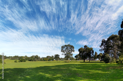 Beautiful afternoon panoramic view of a park with green grass, tall trees, deep blue sky with light clouds, Fagan park, Galston, Sydney, New South Wales, Australia