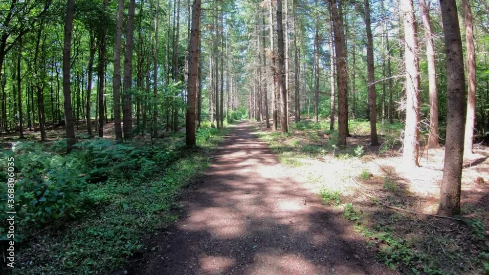Radfahren aus der Sicht des Fahrers - Waldweg geradeaus Radfahren aus der Sicht des Fahrers - Waldweg geradeaus