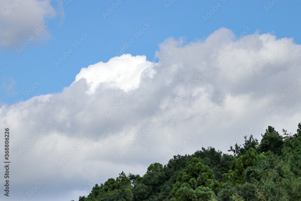 夏の空と雲と青空　千葉県佐倉市　日本