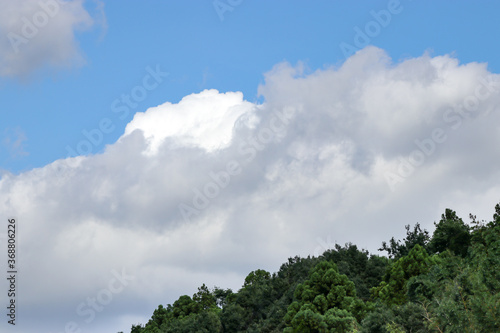 夏の空と雲と青空　千葉県佐倉市　日本 © 政昭 大橋