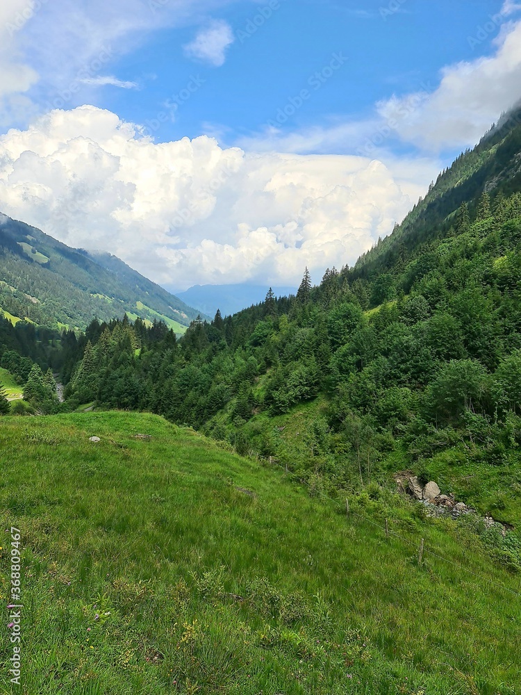 mountain landscape in summer