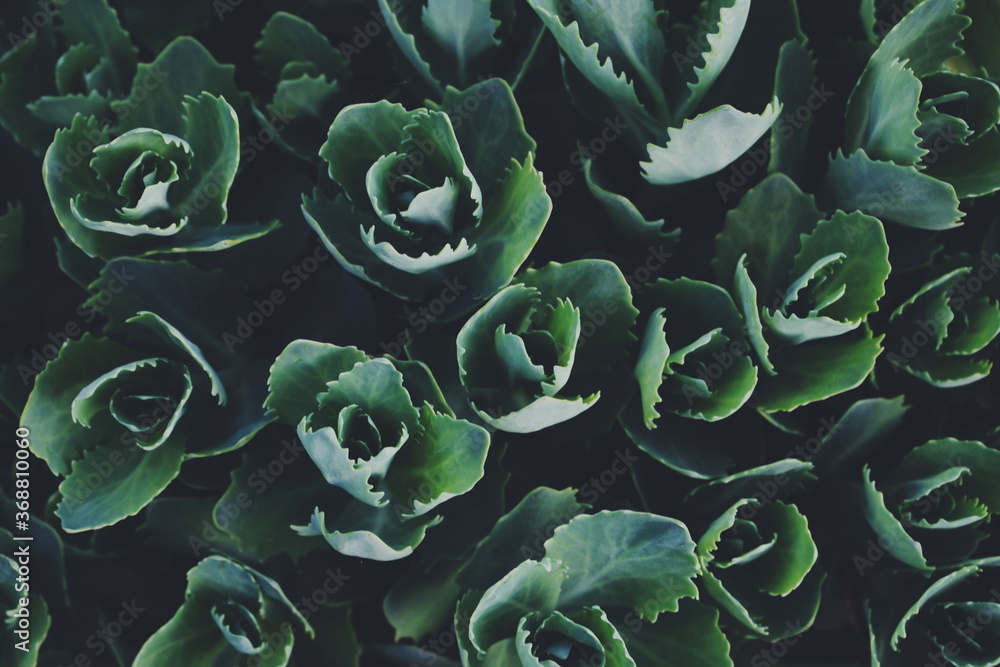 Processed with VSCO with f2 preset Processed with VSCO with f2 preset