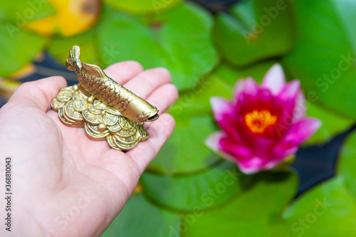 image of fish hand flower  photo