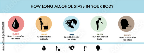 How long alcohol stays in the body