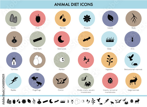 Icons of animal diet