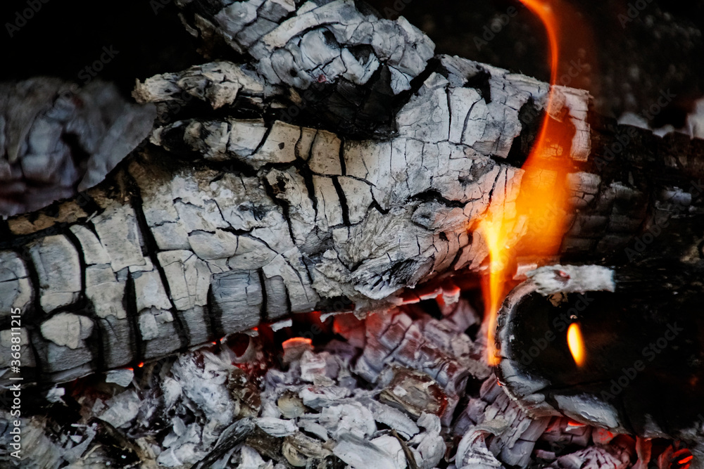 Firewood burns in the fireplace. Charred coals and flames. Smoldering bonfire Firewood burns in the fireplace. Charred coals and flames. Smoldering bonfire