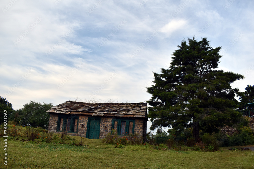 Old house and big green tree Old house and big green tree