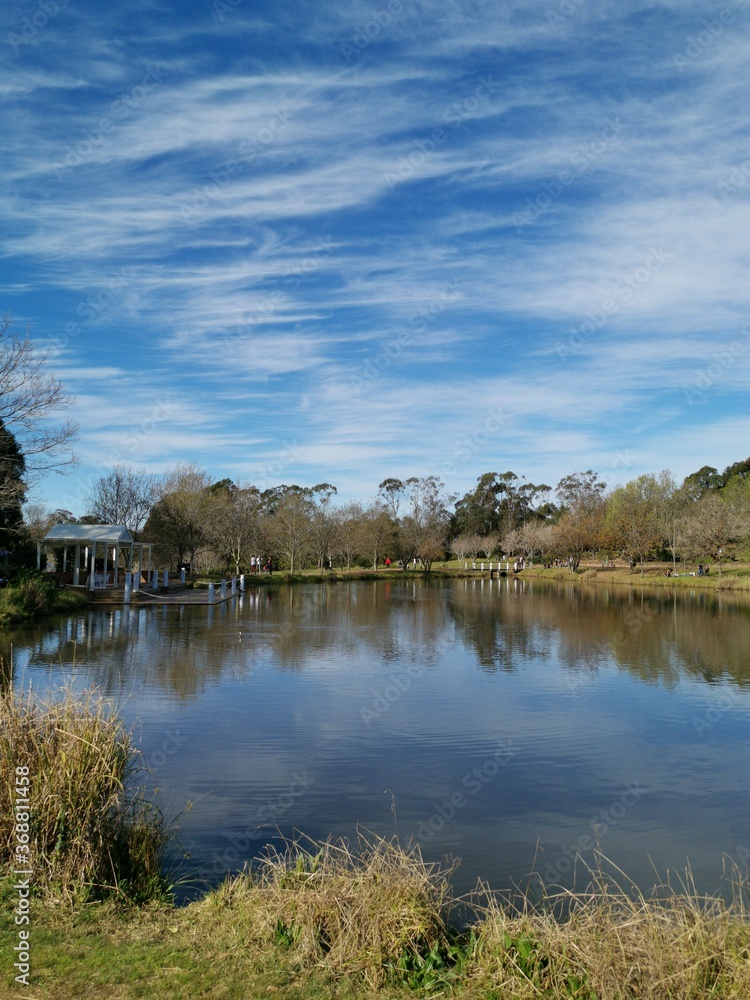 Beautiful afternoon view of a peaceful pond in a park with reflections of deep blue sky, light clouds and trees on water, Fagan park, Galston, Sydney, New South Wales, Australia