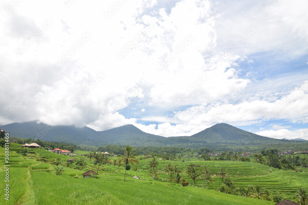 Balinesische Reisterrassen vor Vulkankulisse