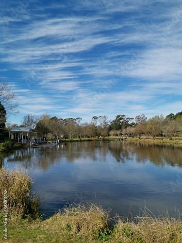 Fototapeta Naklejka Na Ścianę i Meble -  Beautiful afternoon view of a peaceful pond in a park with reflections of deep blue sky, light clouds and trees on water, Fagan park, Galston, Sydney, New South Wales, Australia