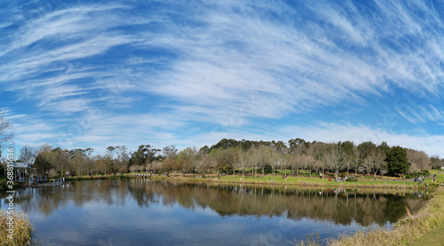 Beautiful afternoon panoramic view of a peaceful pond in a park with reflections of deep blue sky  light clouds and trees on water  Fagan park  Galston  Sydney  New South Wales  Australia