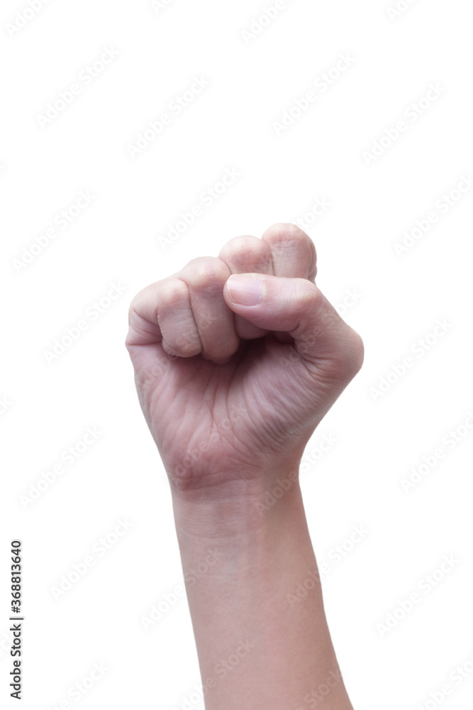 Female clenched fists raised in protest, isolated on a white background. Proletarian protest symbol. Female clenched fists raised in protest, isolated on a white background. Proletarian protest symbol.
