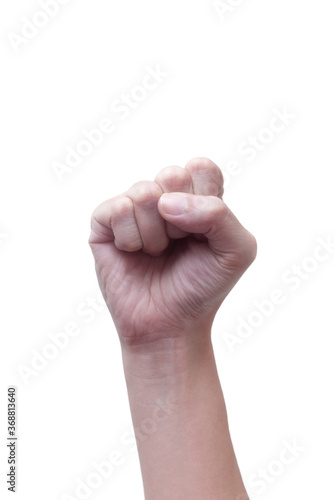 Female clenched fists raised in protest, isolated on a white background. Proletarian protest symbol.