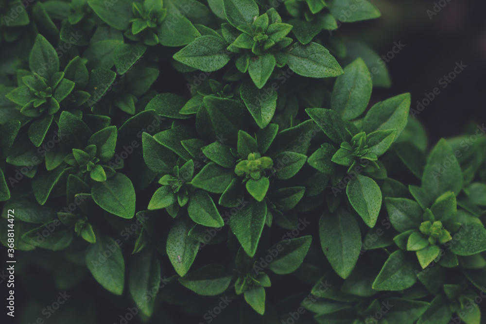 Processed with VSCO with f2 preset Processed with VSCO with f2 preset