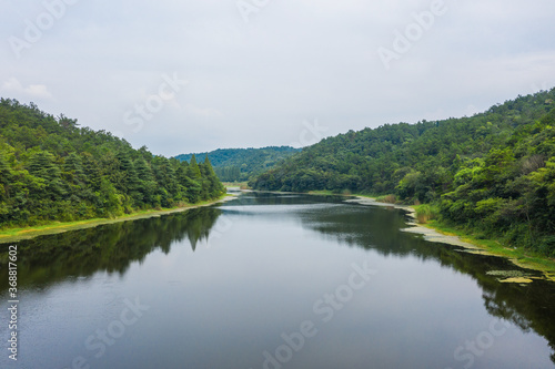 Obraz na płótnie lake in the forest w salonie