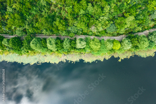 Obraz na płótnie green forest lake and road w salonie