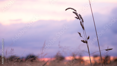 Abendspaziergang