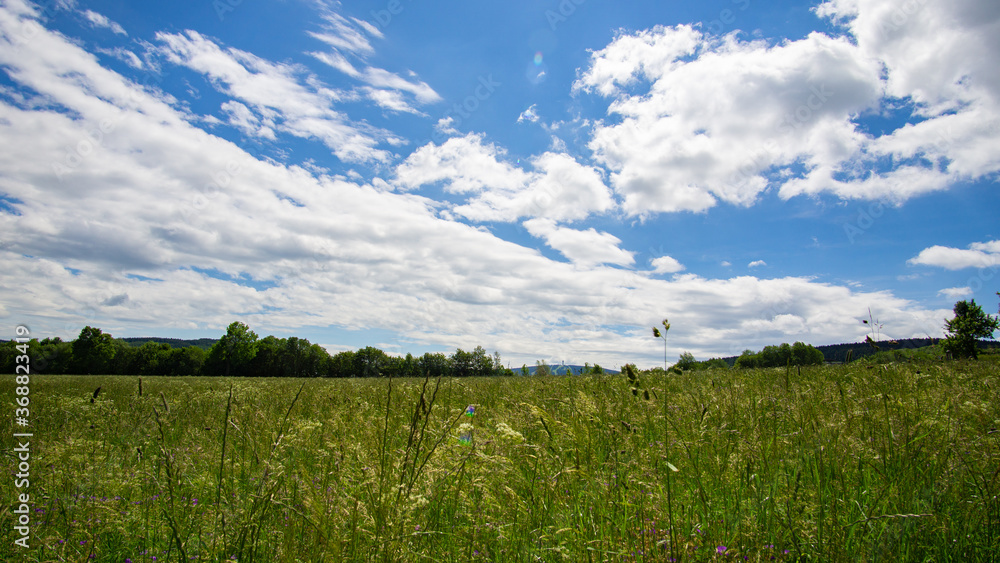 Obraz premium landscape