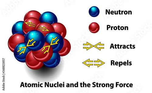 Strong force in the nucleus of an atom . This science diagram shows the force that repels and attracts neutrons and protons. This type of interaction binds together nuclei.