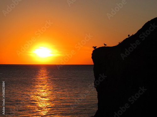 Silhouettes of seagulls sitting on a rock against the background of an orange sky and the setting sun, a sunny path on the surface of the sea