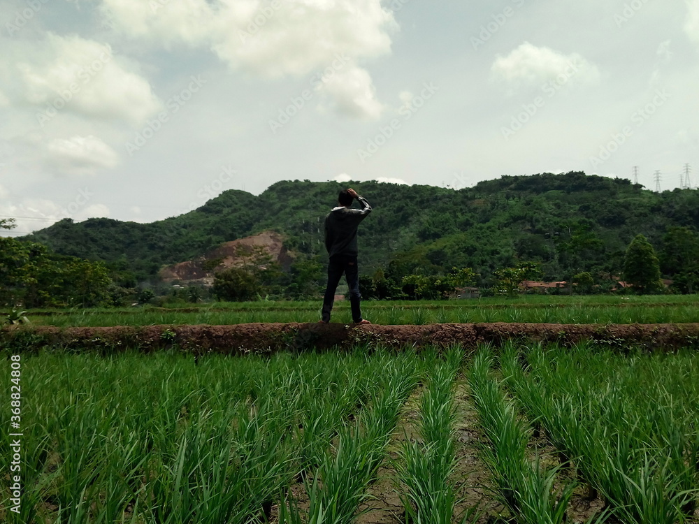 man walking in the field man walking in the field