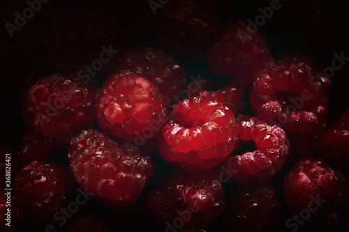 Macro photo of fresh sweet  pink rapsberries at black background. Dark food photo. photo