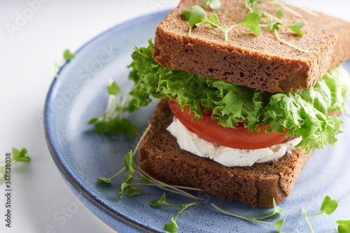 healthy sandwich with gluten-free bread, tomato, lettuce and germinated microgreens served in plate on white table
