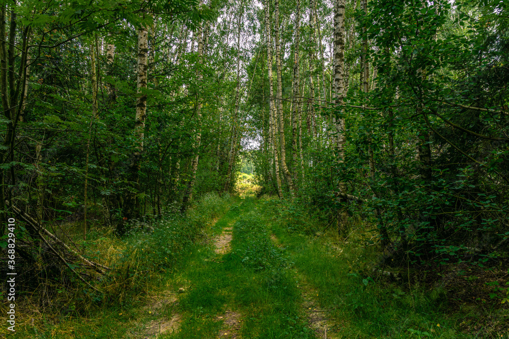 The Thuringian landscape is like a painting that would make even Bob Ross jealous – with more greenery than in a salad buffet The Thuringian landscape is like a painting that would make even Bob Ross jealous – with more greenery than in a salad buffet