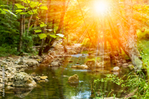 Horizontal View of a River in a forest with lens flare in a hot summer day © daniele russo