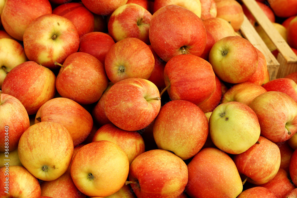 Äpfel Äpfel