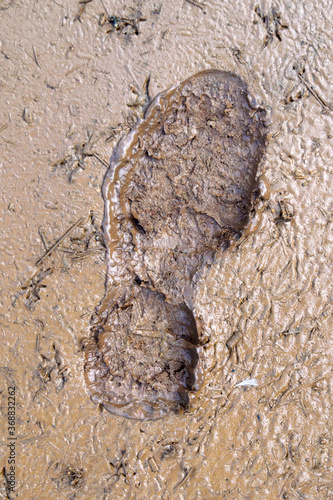 wet and sticky mud with shoe print