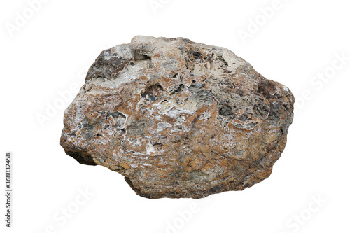 coral limestone rock isolated on a white background.