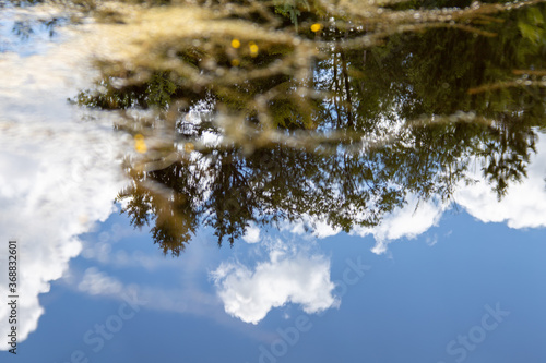 Reflection in Water