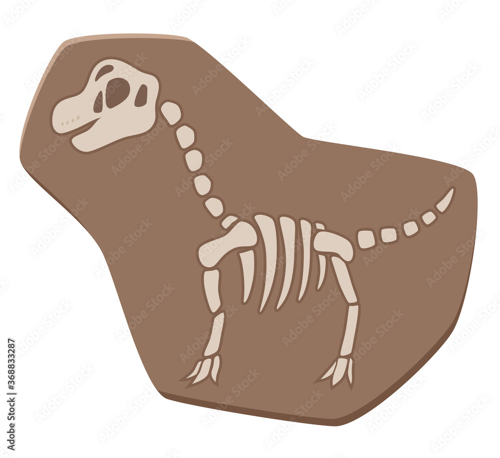 かわいい恐竜の化石のイラスト ブラキオサウルス Stock Vector Adobe Stock