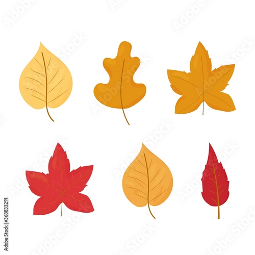 Set of Autumn, fall leaves different colours and shapes isolated on white background stock vector illustration